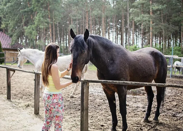 Panzió Paripa Csárda *
