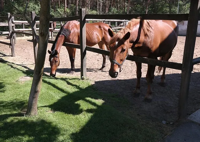 Paripa Csárda Panzió *